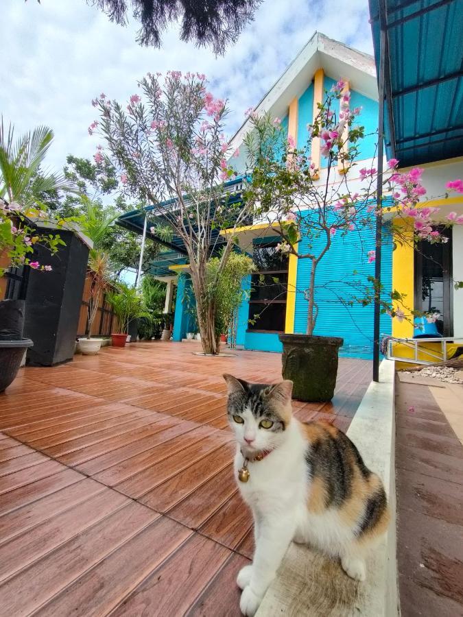 בניוואנגי Omah Mendut Homestay מראה חיצוני תמונה